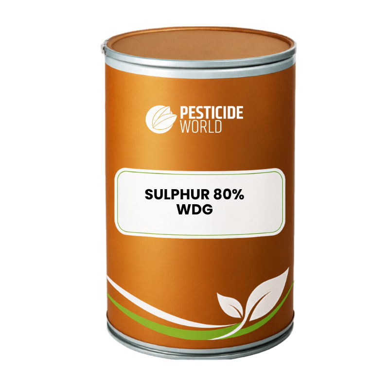 SULPHUR 80% WDG